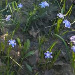 <span class="title">今年も、思い出せた！！</span>